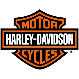 HARLEY DAVIDSON (7)