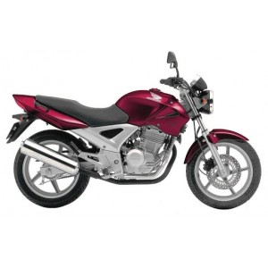 CBF 250 (2)