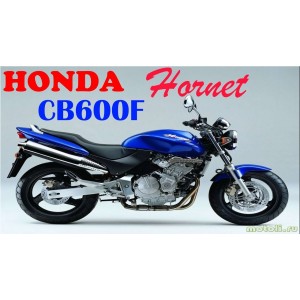 CB 600 F Hornet (5)