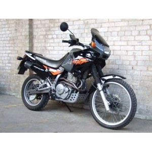 NX 650 Dominator (2)