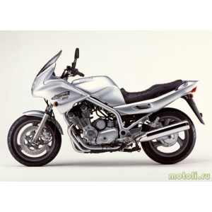 XJ 900 Diversion (2)